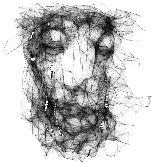 Dream of Light — January 29, 2019