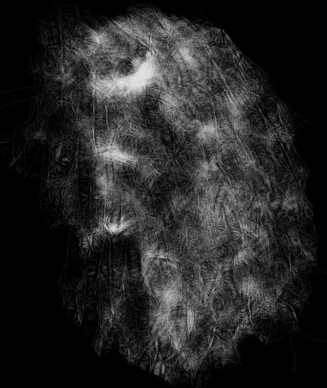 Canvas 358 — February 11, 2011