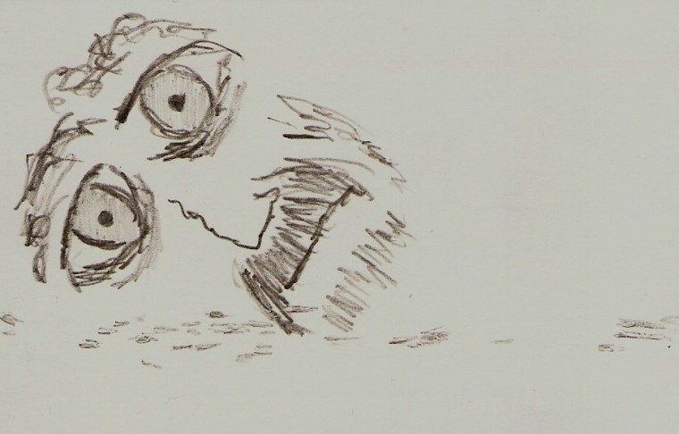 Among the Ruins — April 16, 2009