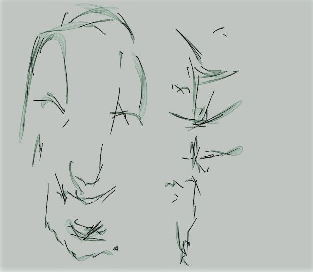 Canvas 1,136 — January 14, 2018